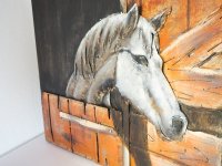 Metallbild - 3D Bild - Pferd schaut aus seiner Box - 60 x 60 cm
