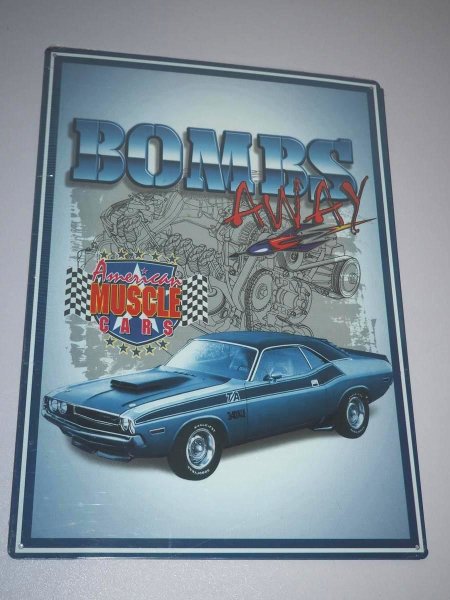Blechschild - Dodge Charger - American Muscle Cars - 29,5 x 42 cm