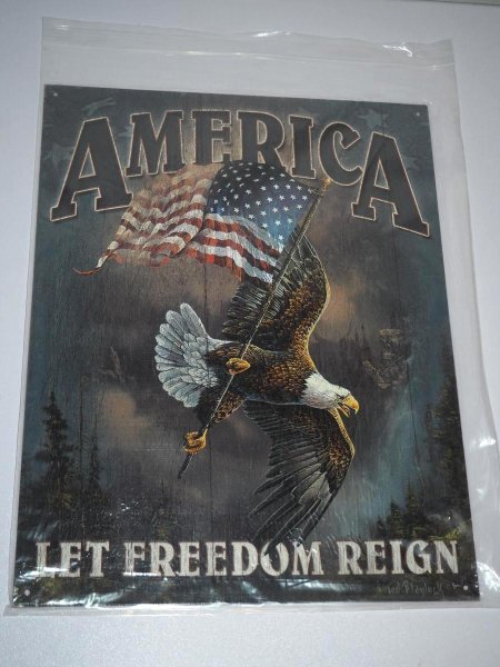 Blechschild - America - Let Freedom reign - 31,5 x 40,5 cm