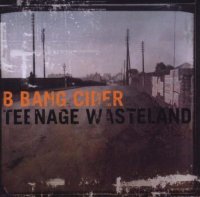 B Bang Cider - Teenage Wasteland - CD