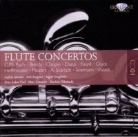 Various - Flute Concertos / Flöten Konzerte - Box Set - 10 CDs