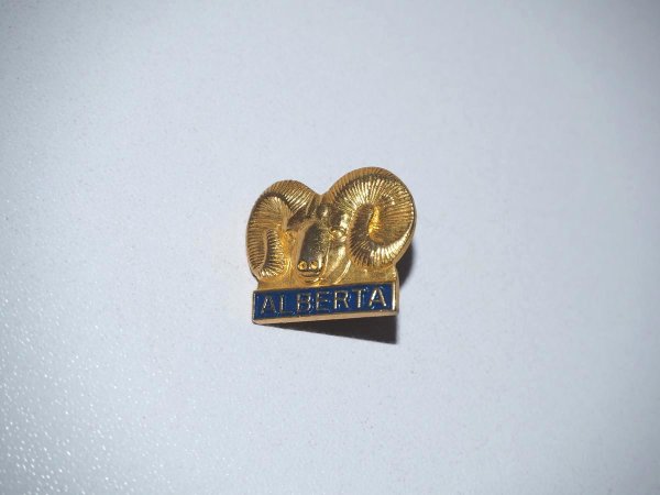 Pin - Alberta - Kanada - Ziegenbock