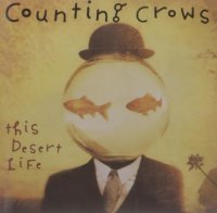 Counting Crows - This Desert Life - CD